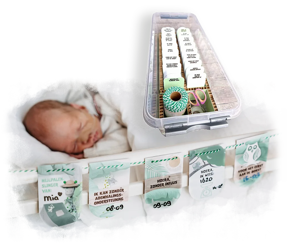 Een mijlpalenslinger van gepersonaliseerde kaarten, inclusief een opbergbox vol geperforeerde en gelamineerde mijlpaalkaartjes met touw.